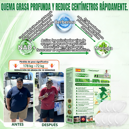 𝐈𝐧𝐬𝐋𝐞𝐦𝐨𝐧® 𝗠𝗼𝗿𝗶𝗻𝗴𝗮 × 𝗕𝗲𝗿𝗯𝗲𝗿𝗶𝗻𝗮 × 𝗔𝗠𝗣𝗞 𝟭𝟬-𝗶𝗻-𝟭 𝗣𝗮𝗿𝗰𝗵𝗲 𝗠𝗲𝘁𝗮𝗯𝗼𝗹𝗶𝗰𝗼 𝗱𝗲 𝗡𝗮𝗻𝗼 𝗠𝗶𝗰𝗿𝗼𝗮𝗴𝗵𝗮 (🇪🇸 Solo una vez al día, cambios visibles en 7 días) ✅ Para sobrepeso, diabetes, apnea del sueño, problemas articulares y más.